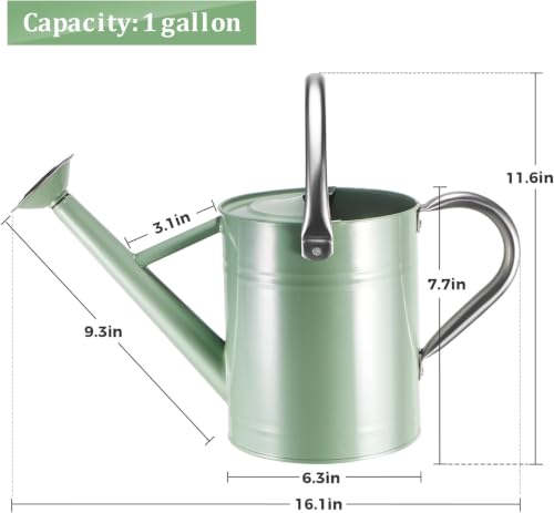 1 Gallon Watering Can for Outdoor&Indoor Plants - color: Cream Green