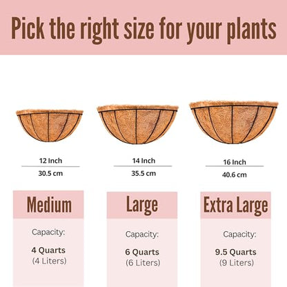 LaLaGreen Hanging Wall Planters (12 in, 4 Pack) Black Metal Flower Baskets - size: 12" x 4 Pack