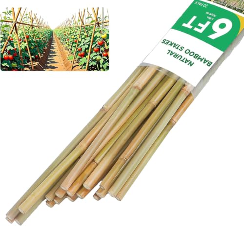 Natural Bamboo Plant Stake（6FT 30Pcs） Sturdy Bamboo Poles, Durable Plant Bamboo Stake, Garden Climbing Plant Bracket. - size: 6ft-30PCS