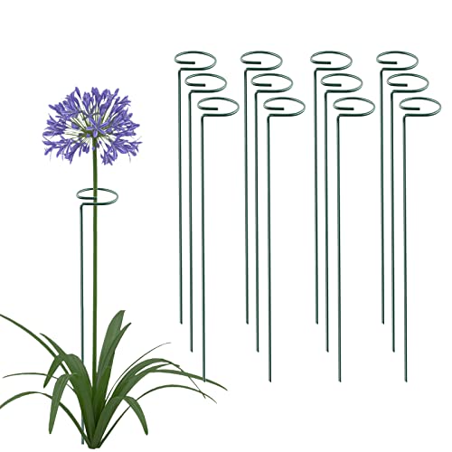 Thealyn 18 Inch 20 Packs Plant Support Stake Garden Single stemmed Plant Support Hoops Plant Prop for Flowers Orchid Tomatoes Peony Lily Rose Gladiolus (18 inch) - color: 18 inch-Green