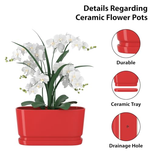 13" Rectangular Ceramic Planter with Drainage and Saucer, Red - color: Red, size: Large