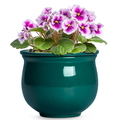 6 Inch Self Watering Plant Pots, Ceramic African Violet Pot with Absorbent Inner Pot, Easy Self Watering Pots for Indoor Plants, Ceramic Planter, Room Decor, Plant Lover Gifts, Blackish Green - color: Blackish Green, size: 6 Inch