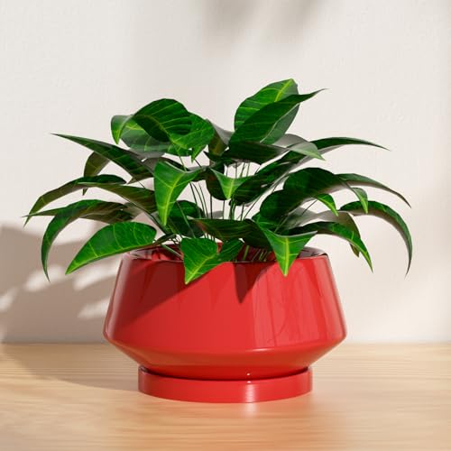 10 Inch Red Ceramic Planter with Drainage Hole and Saucer - color: Red, size: Large