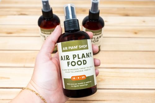 Air Plants Fertilizer in fine Mist Spray Bottle – Plant Food for Tillandsia - Monthly use for Growth of House Plants (1 Pack - 8 OZ) - size: 1 Pack - 8 OZ