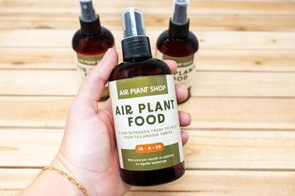 Air Plants Fertilizer in fine Mist Spray Bottle – Plant Food for Tillandsia - Monthly use for Growth of House Plants (1 Pack - 8 OZ) - size: 1 Pack - 8 OZ