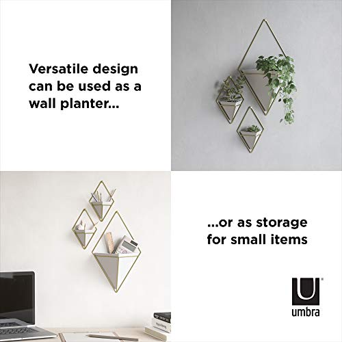 Umbra Trigg Hanging Planter for Small Plants, Large, White/Brass - color: White/Brass, size: Large