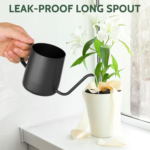 Small Watering Can Indoor Plants 12 OZ Mini Watering Can Stainless Steel - color: Black