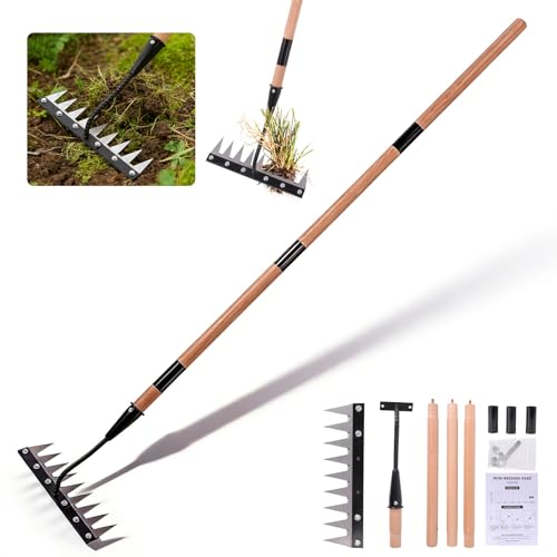 Gardenia 9-Tine Iron Weeding Rake, Heavy Duty Weed Puller for Garden Soil