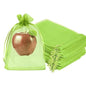 Fruit Protection Bags, Fetanten 6x8 in Mesh Drawstring Bag for Fruit Trees - size: 6 x 8 Inch 100pcs