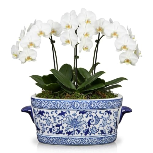 Blue and White Ceramic Planter Pot – Vintage Floral Oval Cachepot Vase for Indoor Plants, Flowers & Succulents – Glazed Porcelain Style Chinoiserie Décor –10.6" Size – No Drainage - size: 10.6" Blue Floral