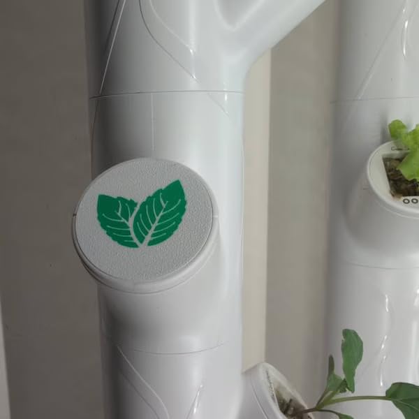 Grow Cubes for Hydroponic System/Compatible with Gardyn (10 Grow Cubes / 10 W&B caps) - style: 10 Grow Cubes / 10 W&B caps