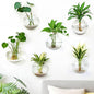 DomeStar Set of 6 Wall Vases, Wall Mounted Propagation Station - size: 6pcs