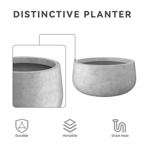 Kante Small Round Bowl Pale Gray Concrete Planter 11.8" Dia, Outdoor - color: Natural Concrete, size: 11.8"w