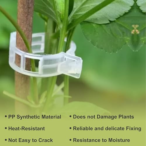 75 Pcs Bendable Moss Pole Monstera Plant Support Clips - Moss Poles for Climbing Plants, Plant Stakes for Indoor Plants - Coco Coir Pole Moss Stick for Monstera, Pothos. - size: 75 x Plant Clips
