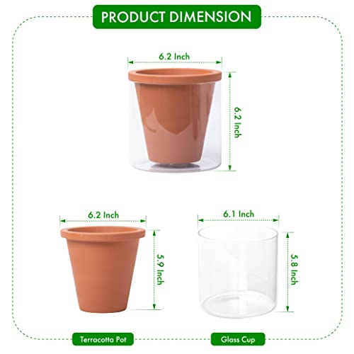 D'vine Dev Self Watering Terracotta Planter Pot, 6 in, 2-Pack, 37-Y-B-1 - color: Terracotta, size: 6 Inch