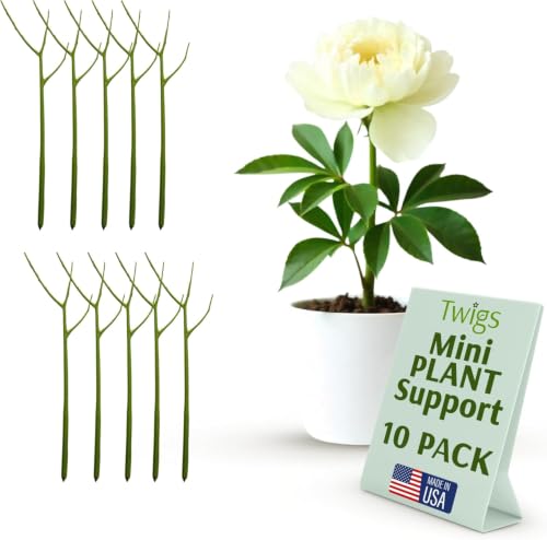 Twigs GA Mini Plant Support Stakes, Peony Light Green, 10-Pack, 12" L - color: Peony (Light Green)