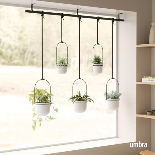 Umbra Triflora Hanging Planter, Window Herb Garden, Set of 5, White/Black - color: White/Black, size: Set of 5, style: Set of 5