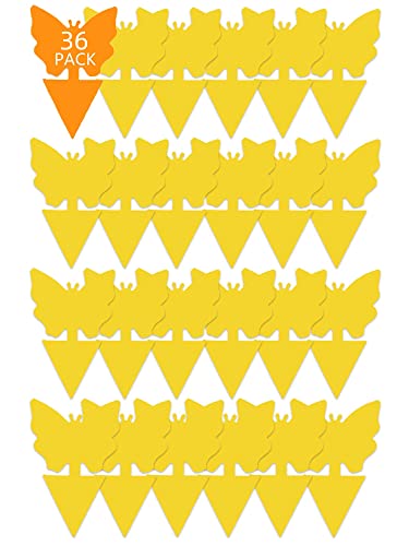 Garsum 36 Pack Fruit Fly Trap Yellow Sticky Fungus Gnat Killer for Indoor and Outdoor Plant Insect Catcher for White Flies,Mosquitos,Fungus Gnats,Flying Insects - color: 36Pcs-Butterfly