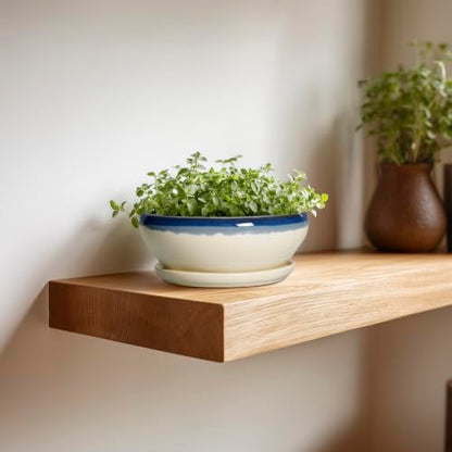SQOWL Succulent Pots 6 Inch, Ceramic Bonsai Pots with Saucer, Blue-Beige - color: Blue-beige, size: 6 Inch