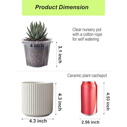 Small Ceramic self Watering Pot for Succulents, 4 inch, White,2pack - color: White, size: 4 inch