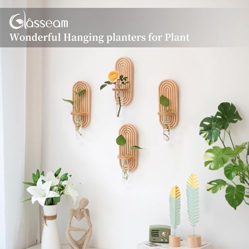 Glasseam Wall Plant Propagation Station: Hanging Glass Propagation Vases