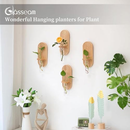 Glasseam Wall Plant Propagation Station: Hanging Glass Propagation Vases