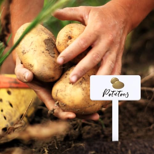 30 Pcs Acrylic Vegetable Labels Signs Waterproof Plant Marker