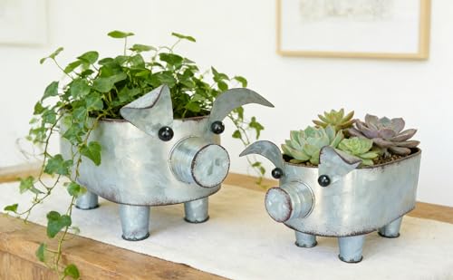 ShabbyDecor Galvanized Metal Rectangular Pig Tray Set of 2, Big and Small - size: Farmhouse Oval Pig