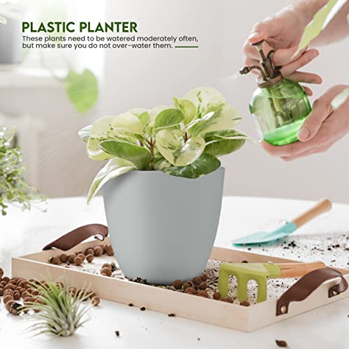 Plant Pots Indoor with Drainage, 5 Pack Multi-Size Planters Set, Grey - color: Gray, size: Pack of 5