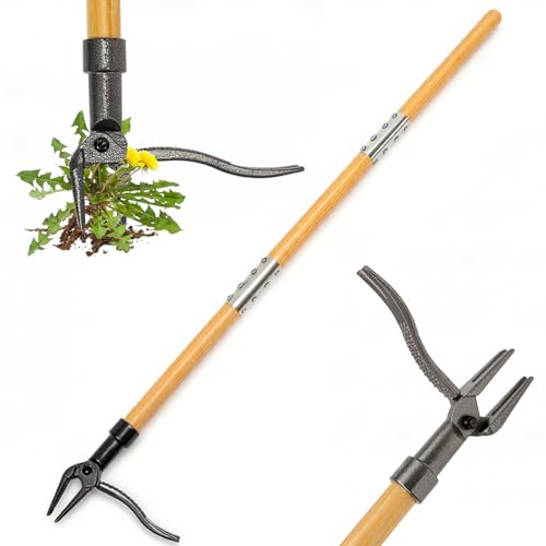 Weed Puller Tool, 44" Stand Up Heavy Duty Root Removal Garden Tools with 4 Claw Steel Head, Made with Real Bamboo & Long Wooden Handle - Easily Remove Weeds Without Bending, Kneeling, or Pulling