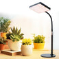 FECiDA Bonsai Grow Light, Table Grow Lights for Indoor Plants Collection - size: 1-Head Switch