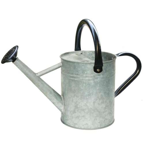 Metal Watering Can 1 Gallon for Indoor and Outdoor Plants Silver Black - color: One Gallon Silver Black