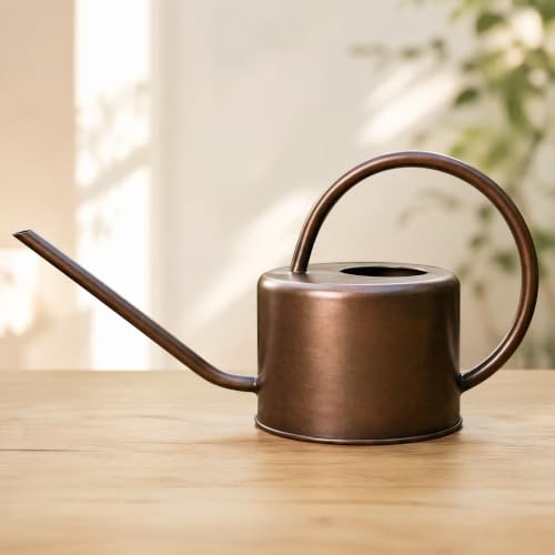 DUSVALLY 32oz Metal Watering Can for Indoor Plants, Long Spout Watering Can - color: Gold