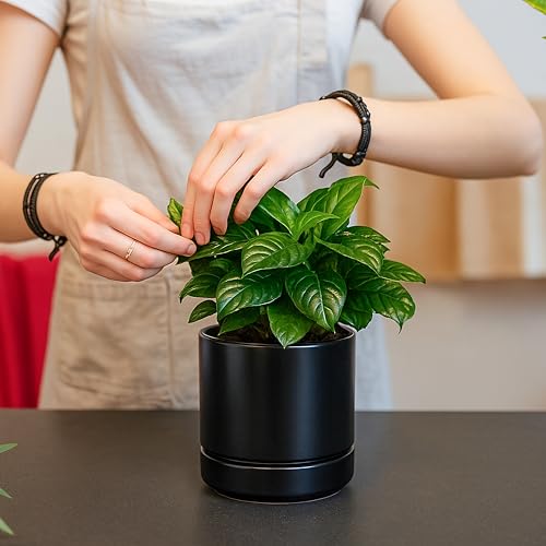 D'vine Dev 2-Pack Ceramic Pots with Saucers, Black, 4.7 in, 94-V-B-2 - color: Black, size: 4.7 Inch