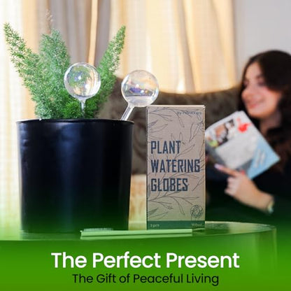 Iridescent Self Watering Globes, Glass Rainbow Plant Watering Globes, Self Watering Planter Insert, Automatic Plant Waterer Indoor (Medium-2 Pcs Iridescent, Medium) - color: Medium - 2 Pcs (Pack of 1)