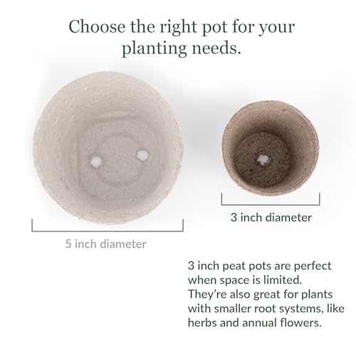Jiffy Biodegradable Peat Pots for Seedlings, 3 Inch, 100 Pack - color: 100 Pots, size: Large