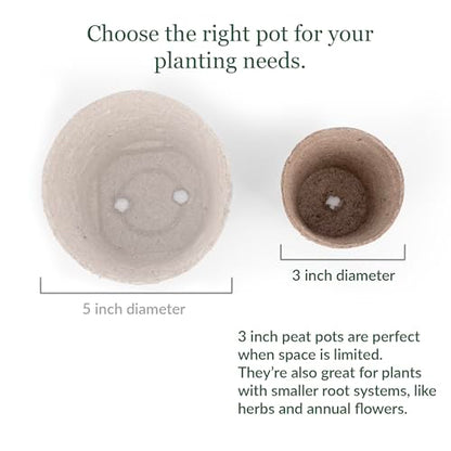 Jiffy Biodegradable Peat Pots for Seedlings, 3 Inch, 100 Pack - color: 100 Pots, size: Large