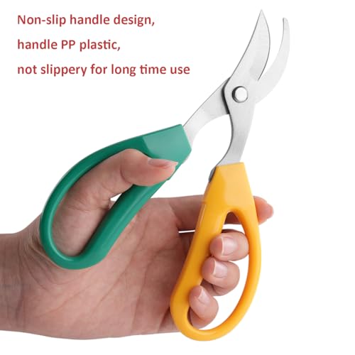 Garden Scissors Stainless Steel Garden Bonsai Pruning Shears (Classic) - style: Classic