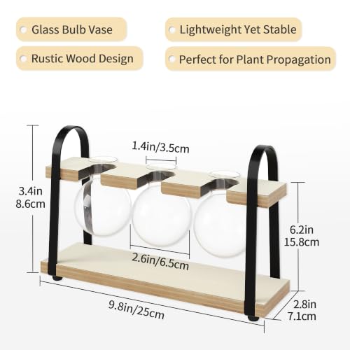 3-Bulb Plant Propagation Station, Glass Vase Terrarium, Retro White - color: White