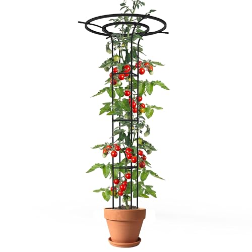 Trellis for Climbing Plants Outdoor, 72“Mushroom Top Trellis(1 Pack) - size: 1 pack(Square)