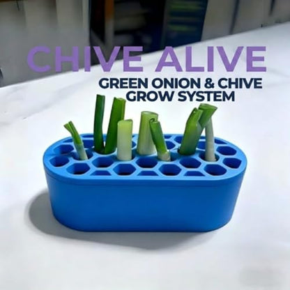 Mini Green Onion Regrower Kit, Hydroponic Scallion Planter Box with Hexagonal Honeycomb Lid, Soil-Free Indoor Herb Water Propagation Tub for Kitchen Countertop，Blue - color: Blue