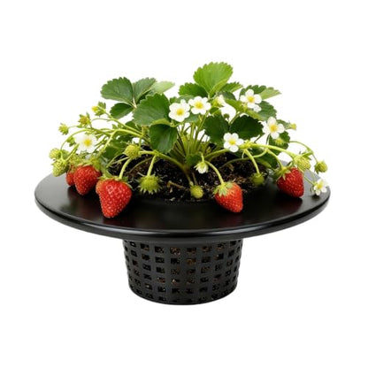 6 Inch Net Pots with Wide Lids for 3.5 and 5 Gallon Buckets 5 Pack Hydroponic Net Cups - color: Small Opening-5pcs