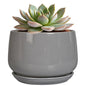 G EPGardening Ceramic Pot for Plants, 6 Inch, Gray - color: Gray, size: 5 Inch