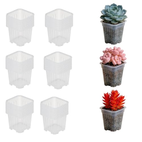 50 Pack 1.6'' Square Nursery Pots, Tiny Clear Seedling Planters with Drainage Holes, Plastic Mini Deep Transplant Pot for Herb, Succulent, Germination, Seed Starting, Cuttings - size: 1.6 inches