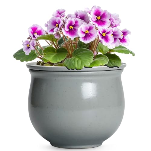 6 Inch Ceramic African Violet Pot, Easy Self Watering Pots with Absorbent Inner Pot, Round Self Watering Planter, Ceramic Pots for Plants Indoor, Apartment Decor, Housewarming Gifts, Grey - color: Gray, size: 6 Inch