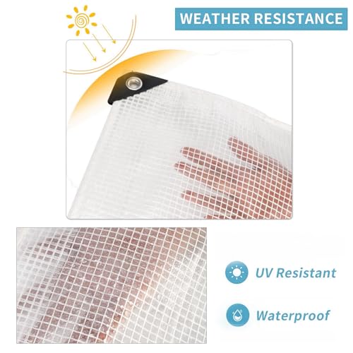 Clear Tarp 16x20FT, Greenhouse Tarp 10mil for Outdoor Garden Use - size: 16x20