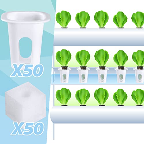 100 Pcs Hydroponic Grow Baskets and Seed Pods Kit with Square Sponges