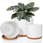 GARDIFE 3 Pack Cylinder Planter Set 10/9/8 Inch White Indoor Plant Pots - color: White-brown
