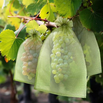 50 PCS 8X12 inches Fruit Protection Bags, Fruit Bags for Fruit Trees - size: 8X12