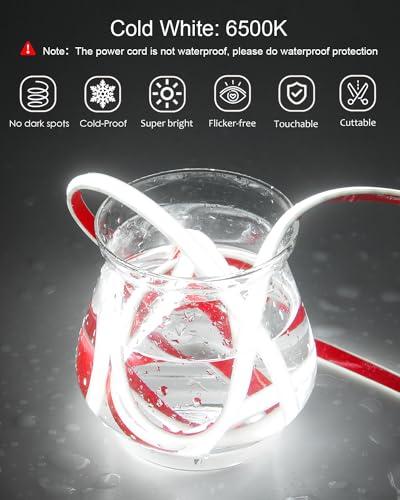 ALITOVE Outdoor LED Strip Lights Waterproof IP68 Daylight White 6500K - color: Cold White, size: 32.8FT